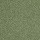 DesignTek Carpet: Dalton 30 15' Going Green